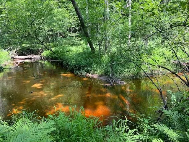 TURKEY TROT LN #2, Wausaukee, WI 54177