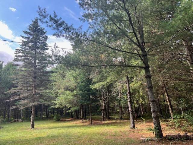 White Lake, WI 54491,12234 LONZO RD
