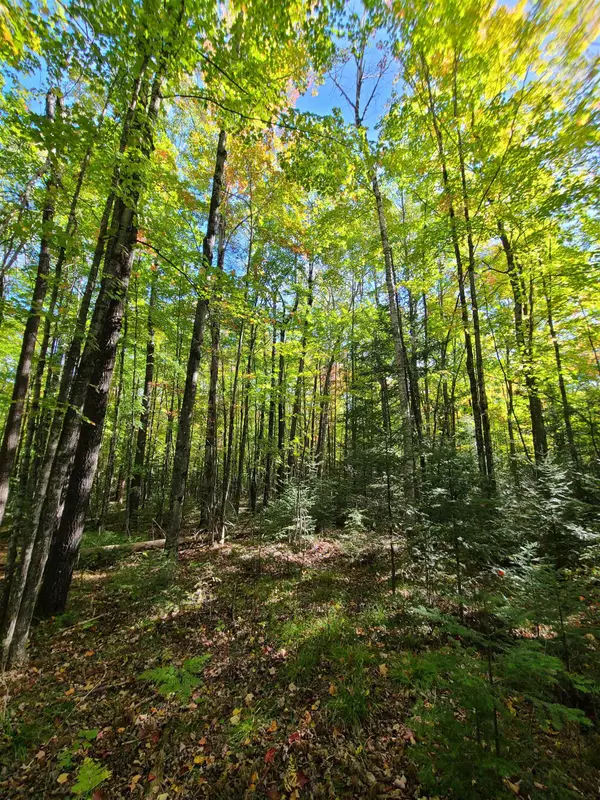 Amberg, WI 54102,MUNDT QUARRY RD