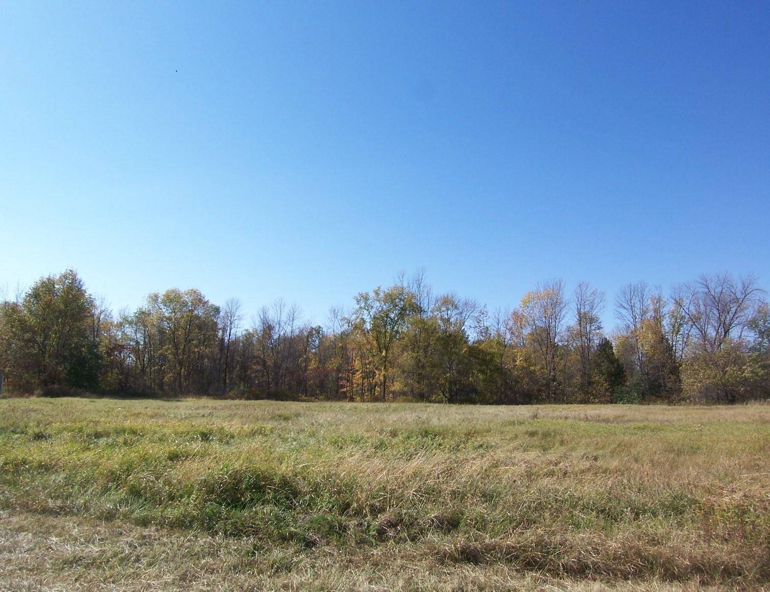 FOXTAIL LN #1, Oconto, WI 54153-9115
