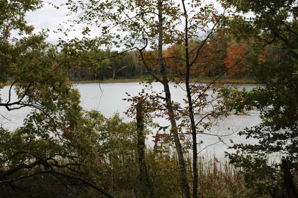 Mountain, WI 54149-0000,ISLAND LAKE RD #1