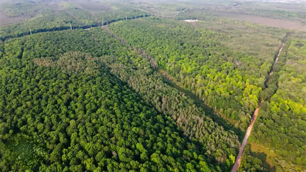 Crandon, WI 54520,TOWER RD #9