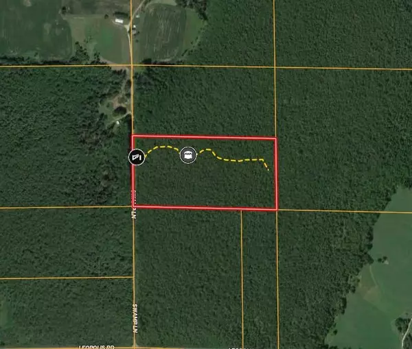 N5034 SWAMP LN, Leopolis, WI 54948