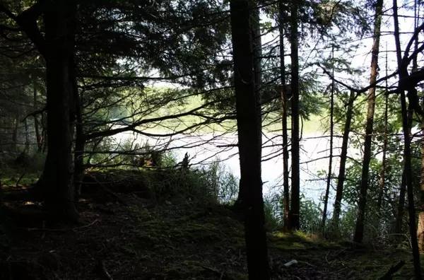 Pickerel, WI 54465,FOREST LN #2