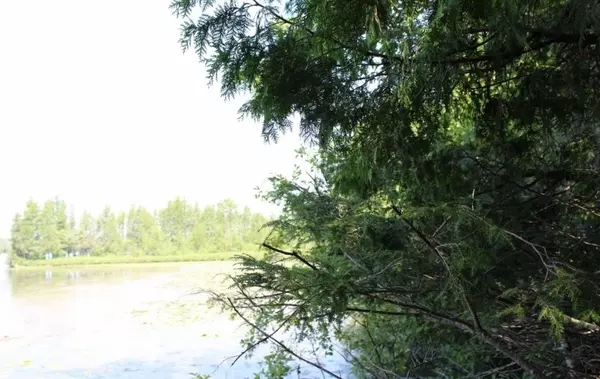 Pickerel, WI 54465,FOREST LN #2