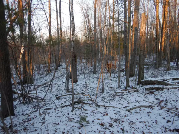 Abrams, WI 54101,5324 S GILBERT LN