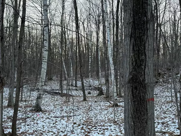 ORCHARD VIEW LN, Brussels, WI 54204