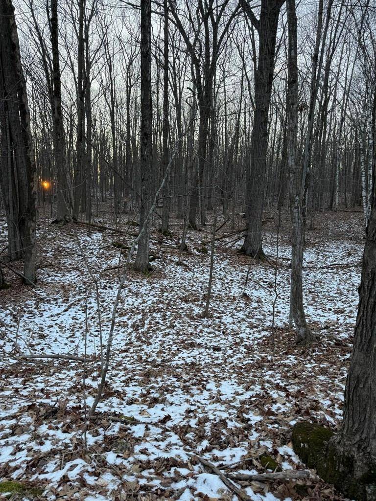 Brussels, WI 54204,ORCHARD VIEW LN