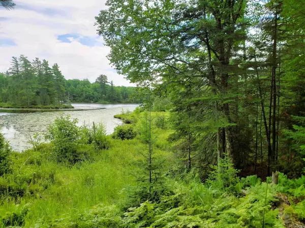Mercer, WI 54547,BLUE HERON RIDGE RD #5