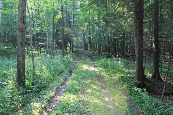 Casco, WI 54205,LEFEVERE LN