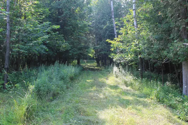 Casco, WI 54205,LEFEVERE LN