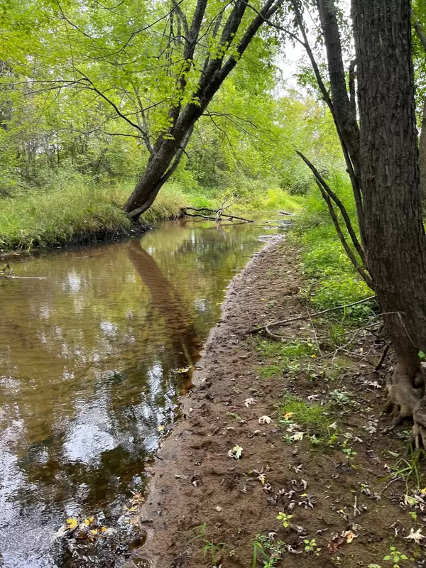 Bruce, WI 54819,MAHONEY RD