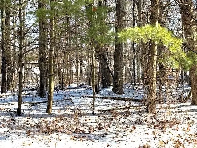OTTER DR, Waupaca, WI 54981