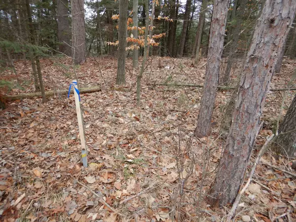 Pound, WI 54161,N MARL LAKE RD