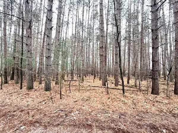 LAKE TERRACE DR, Waupaca, WI 54981