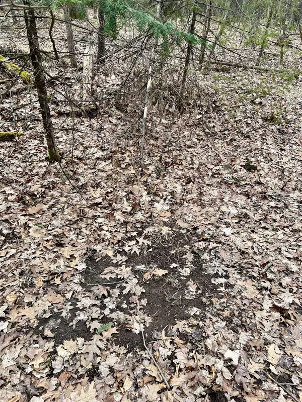 Amberg, WI 54102,BARKER RD