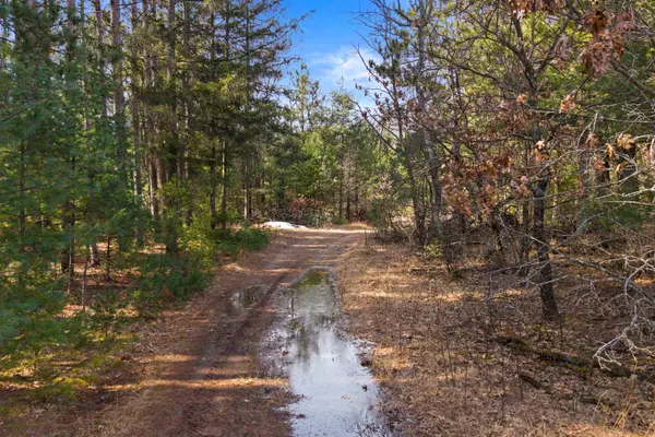 Coloma, WI 54930,W11944 CZECH AVE