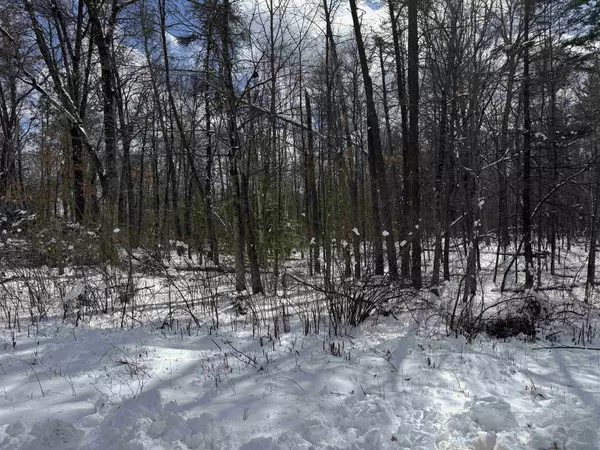 Keshena, WI 54135,N1603 SPIRIT RIDGE RD #37