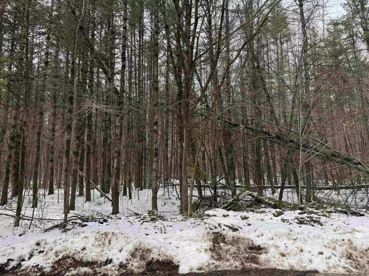 Keshena, WI 54135,N1603 SPIRIT RIDGE RD #37