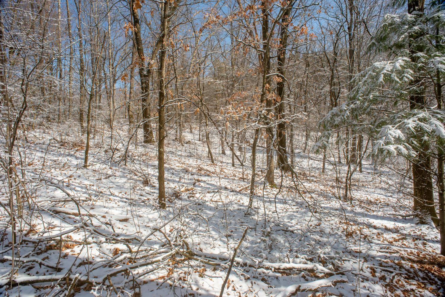 Wautoma, WI 54982,BIGHORN LN #1