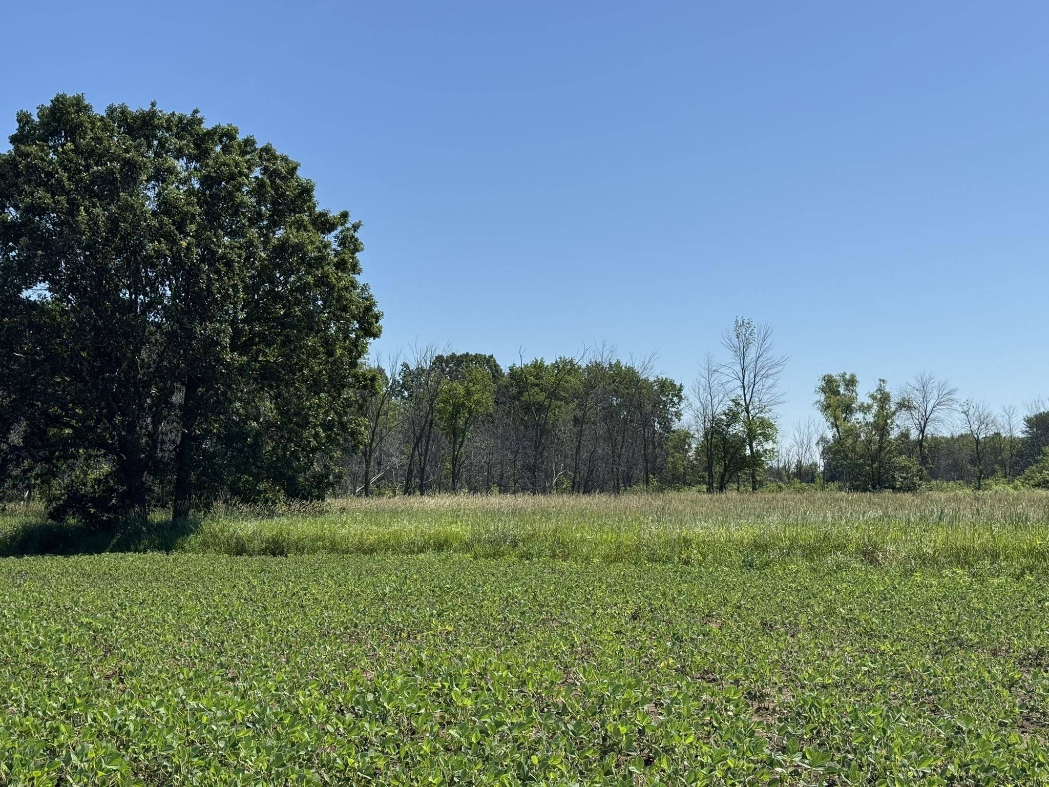 QUIGLEY RD, Winneconne, WI 54986