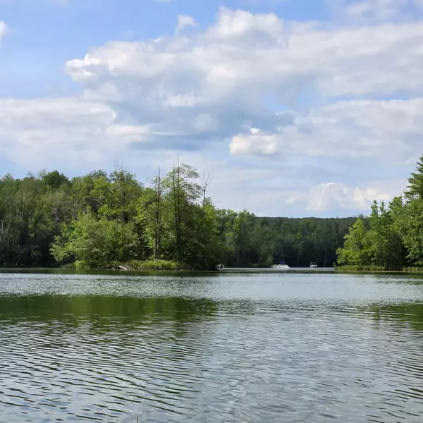 Mountain, WI 54149,CRESTVIEW DR #19B
