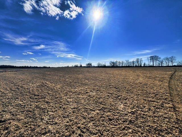 Wallace, MI 49893,SOBIESKI ROAD 8