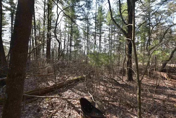 Wautoma, WI 54982,WOODHAVEN CIR #10