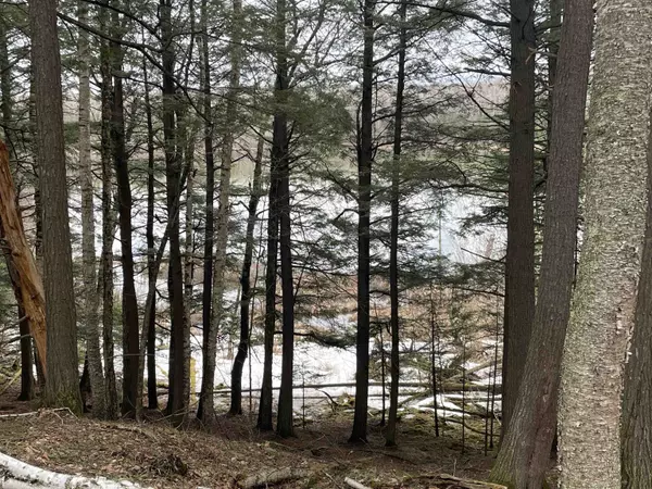 Laona, WI 54103,742 MOONLIGHT LN