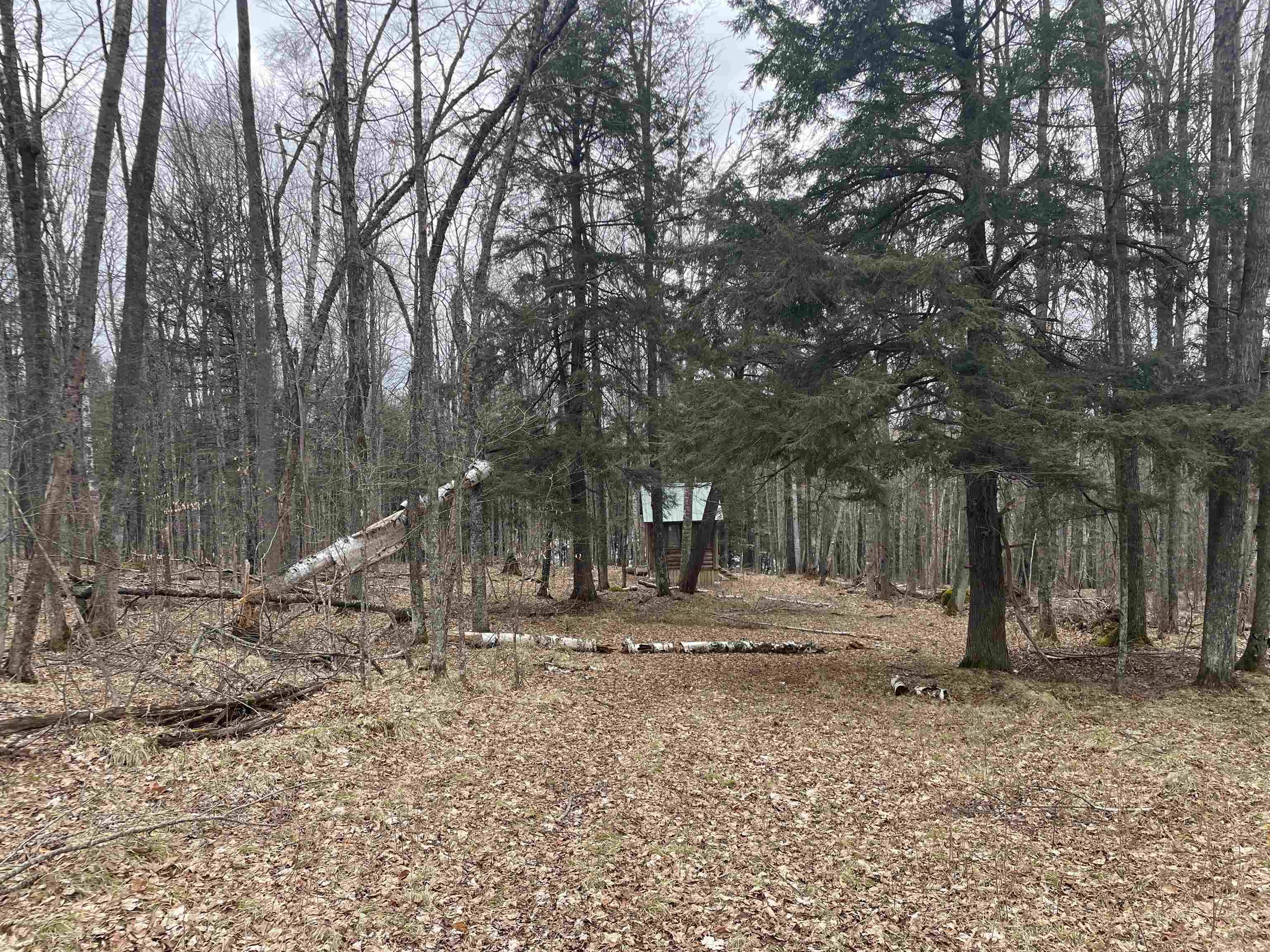 742 MOONLIGHT LN,  Laona,  WI 54103