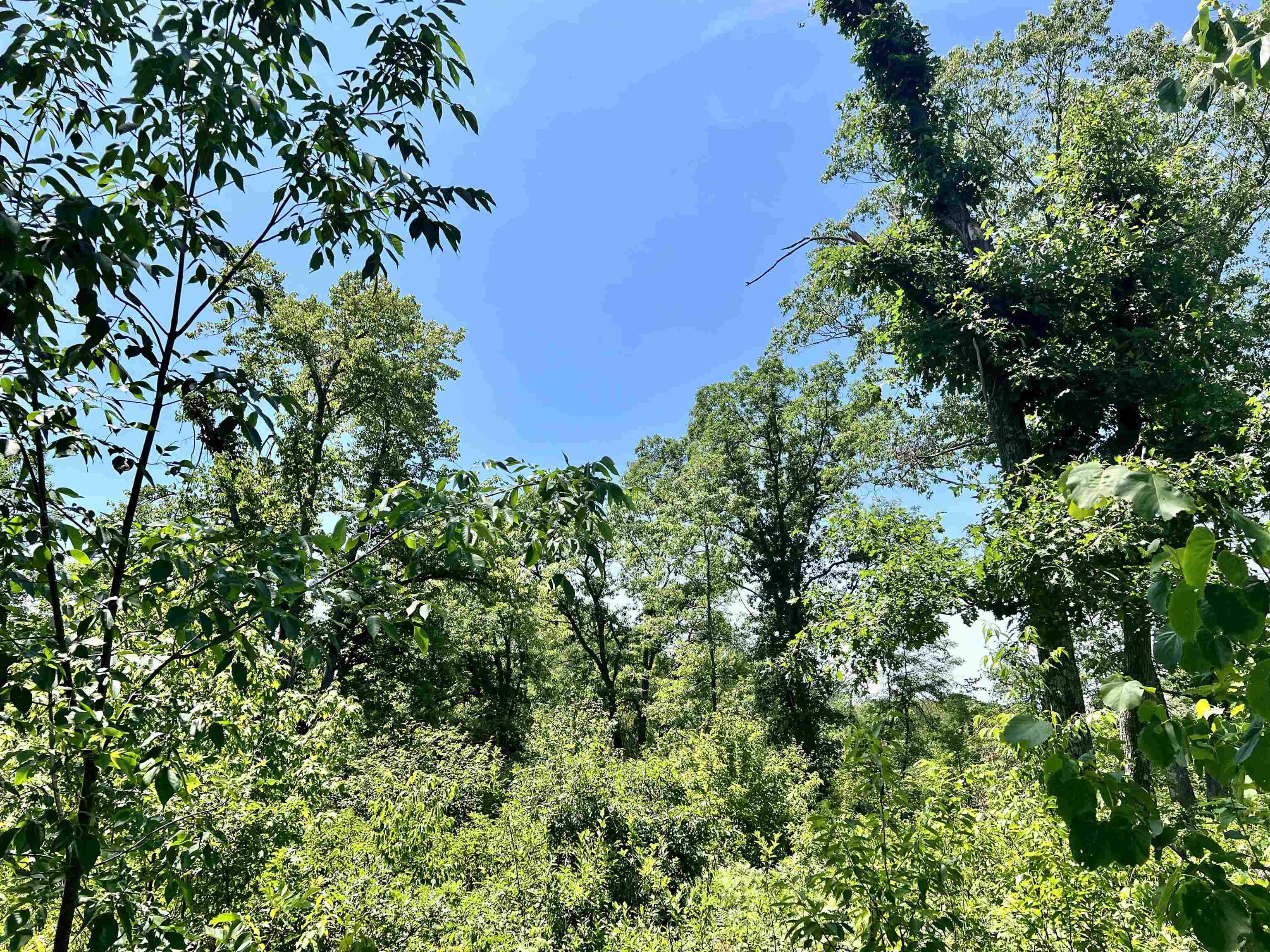 Crivitz, WI 54114,W8040 QUARRY RD
