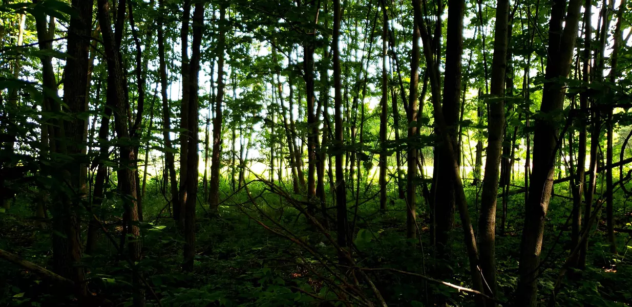 HWY 114, Sherwood, WI 54169-9513