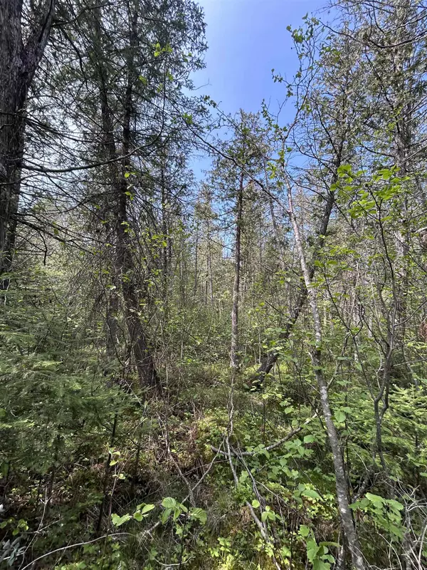 Hermansville, MI 49847,VEGA RD