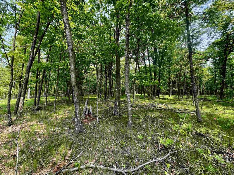 RHETT RD #6, Wausaukee, WI 54177