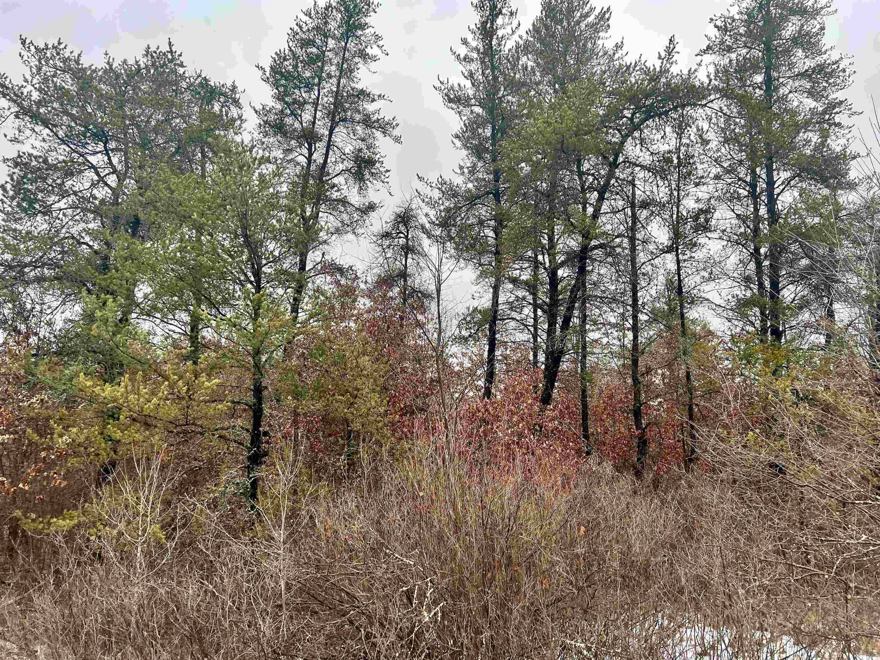 Amberg, WI 54102,AMBERG WAUSAUKEE RD