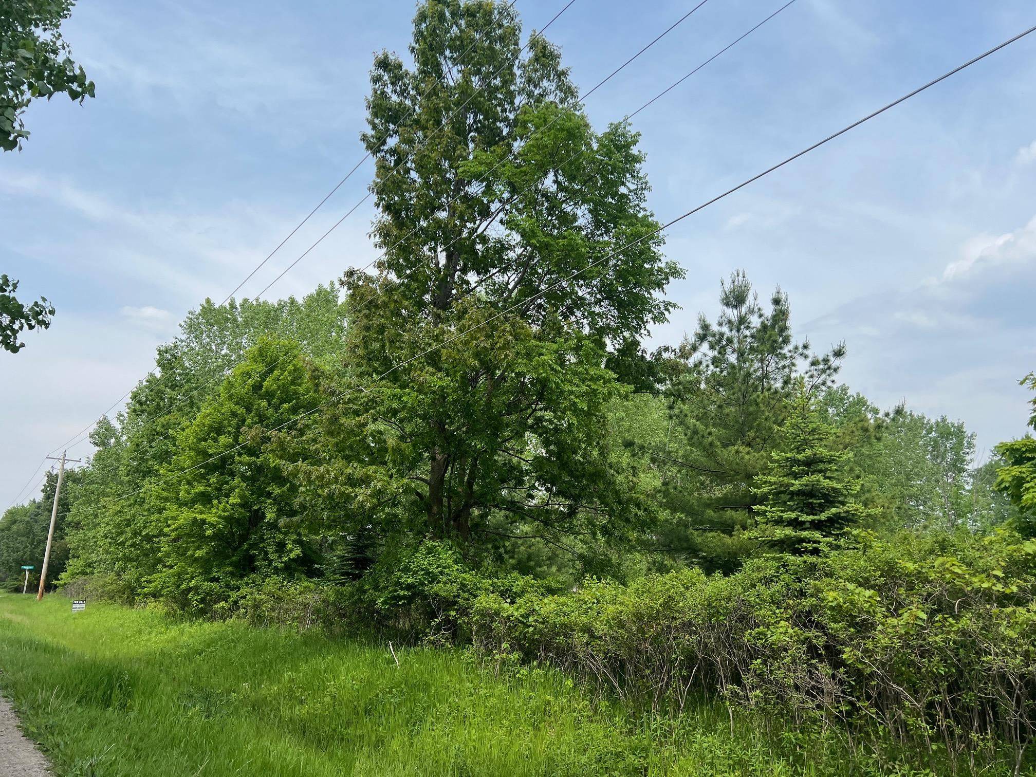 Hobart, WI 54155,MAPLE VIEW CT
