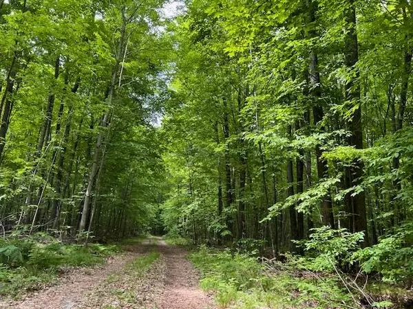 Athelstane, WI 54104,OLD J RD