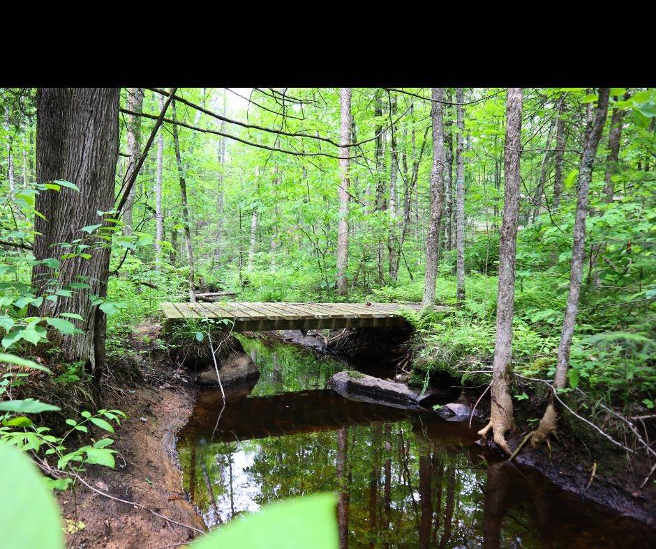 Amberg, WI 54102,WESTBERG RD