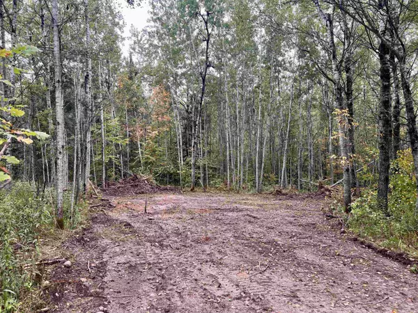 10556 DREAM LAKE RD #2, Tipler, WI 54542