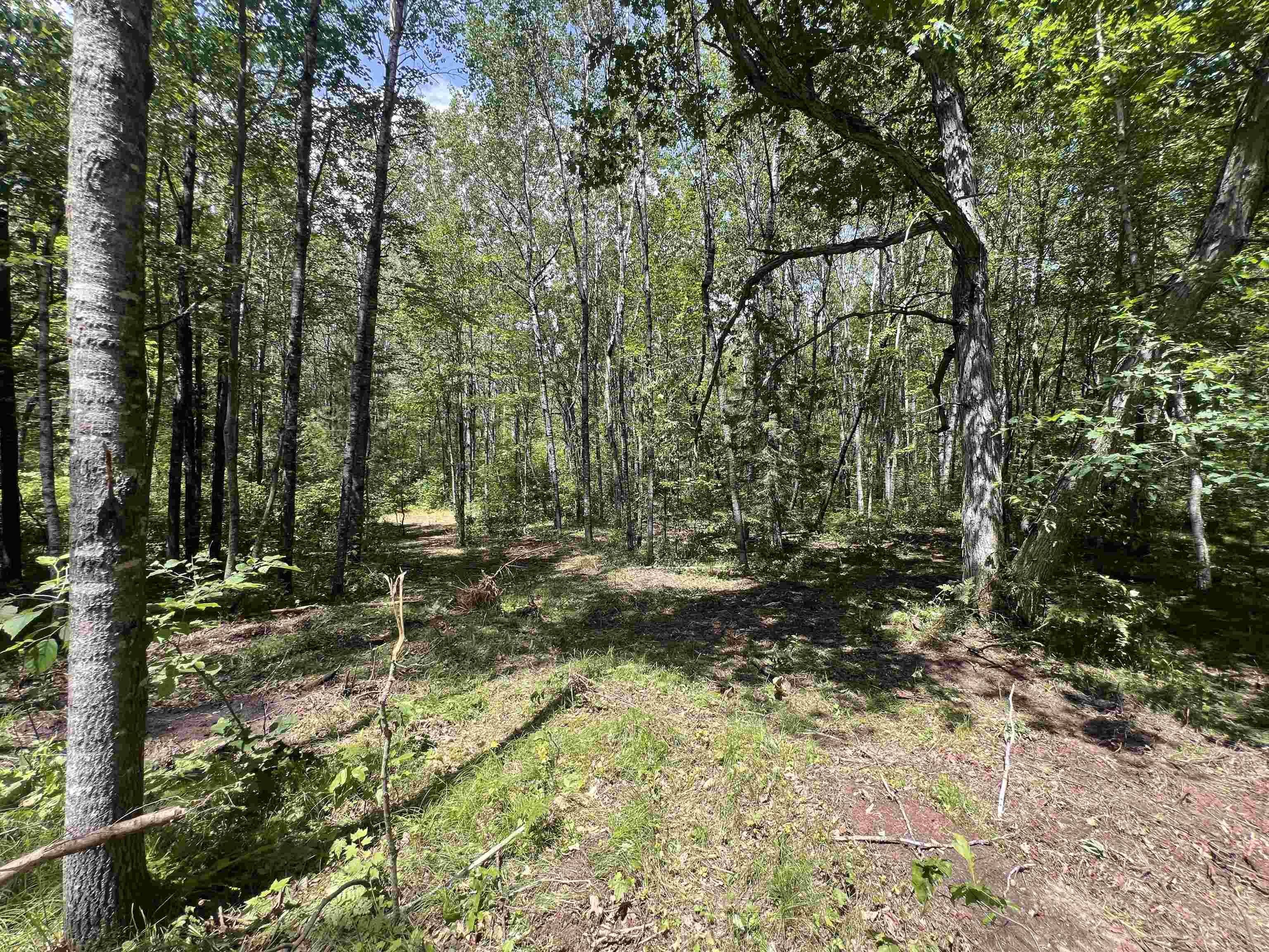 REYNOLDS RD #2, Wausaukee, WI 54177