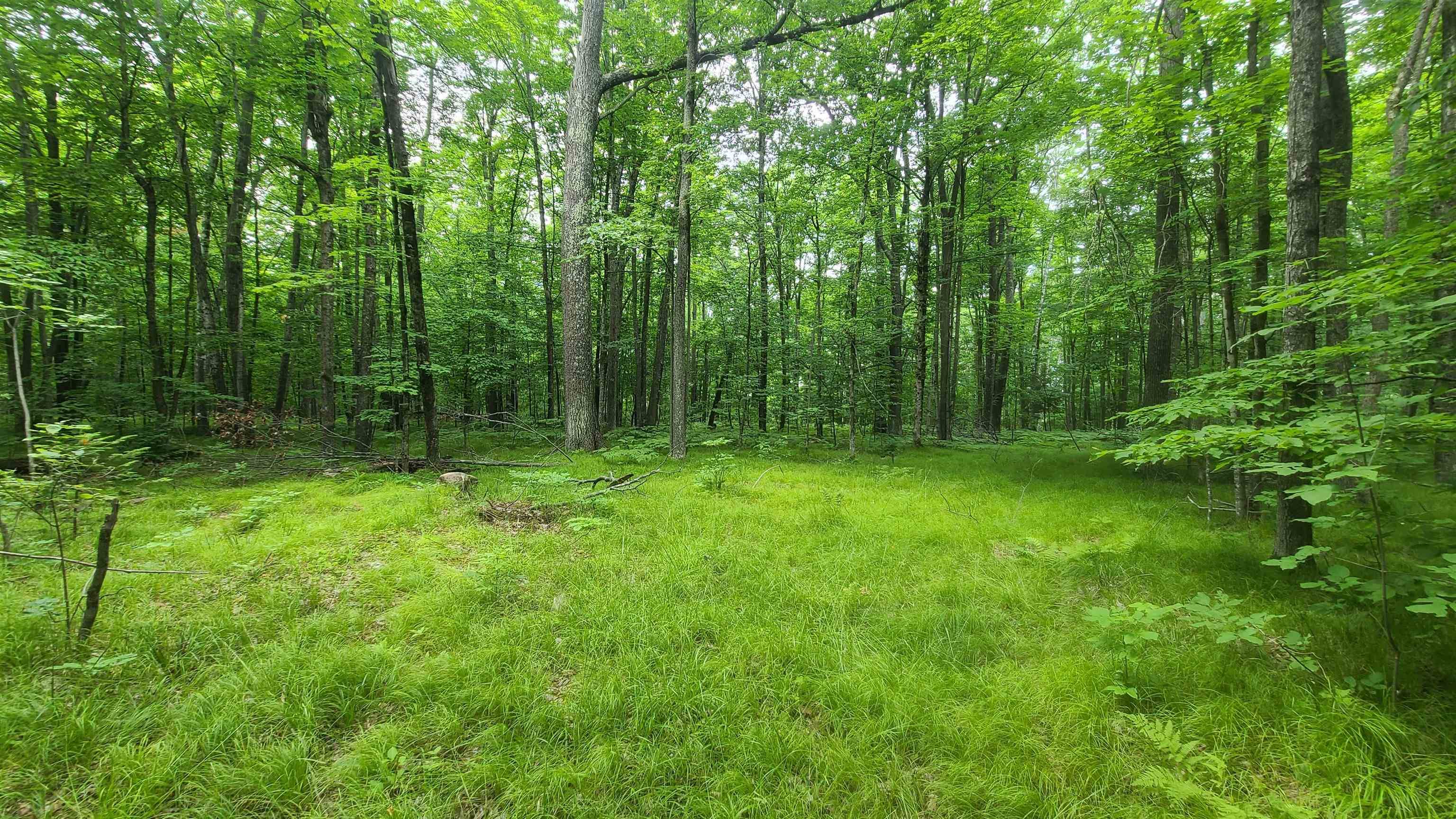 Fence, WI 54120,S HILBERT DR