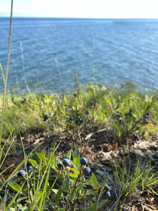 La Pointe, WI 54850,2225 HAGEN RD