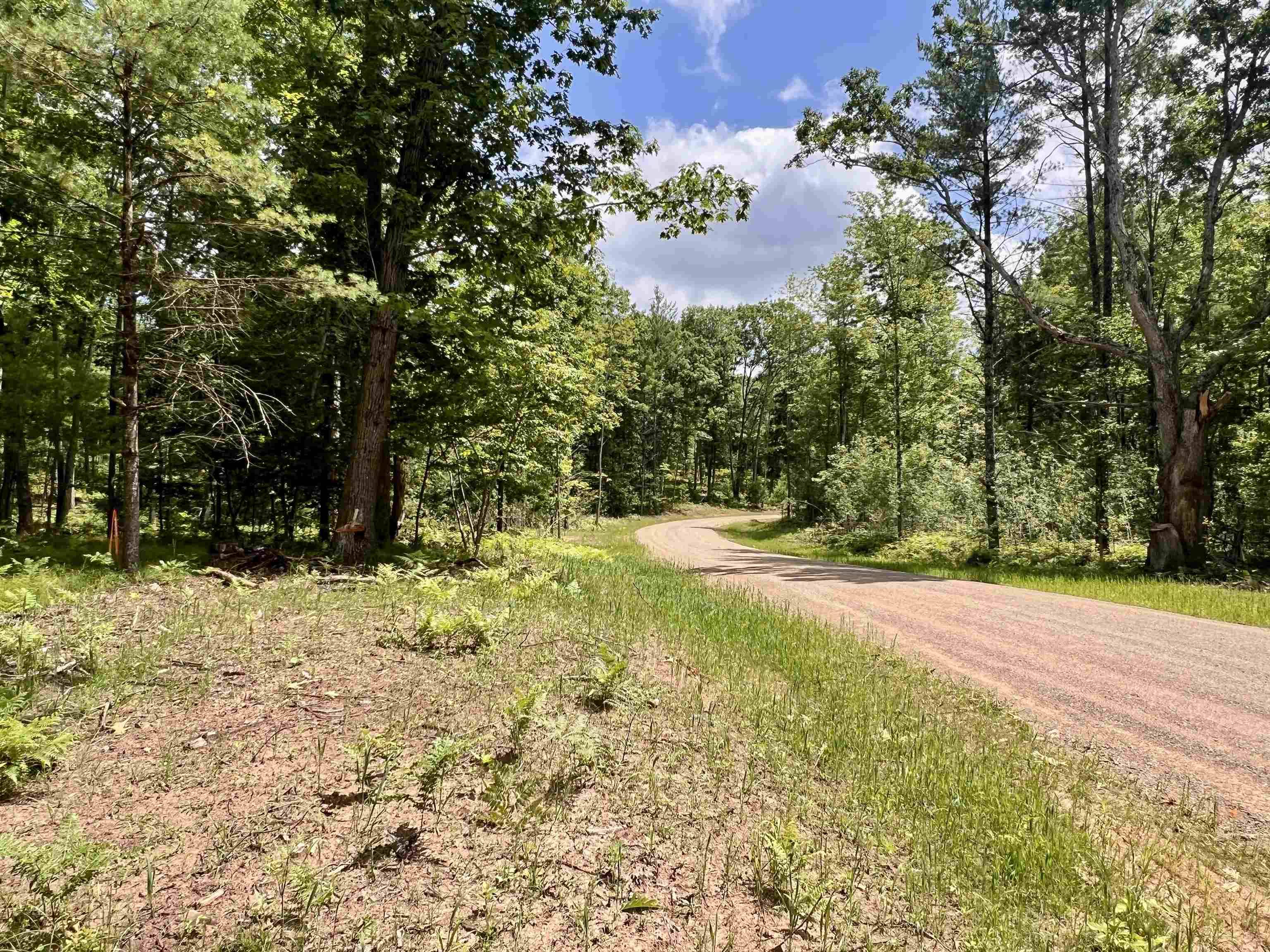 Wausaukee, WI 54177,RHETT LN #10