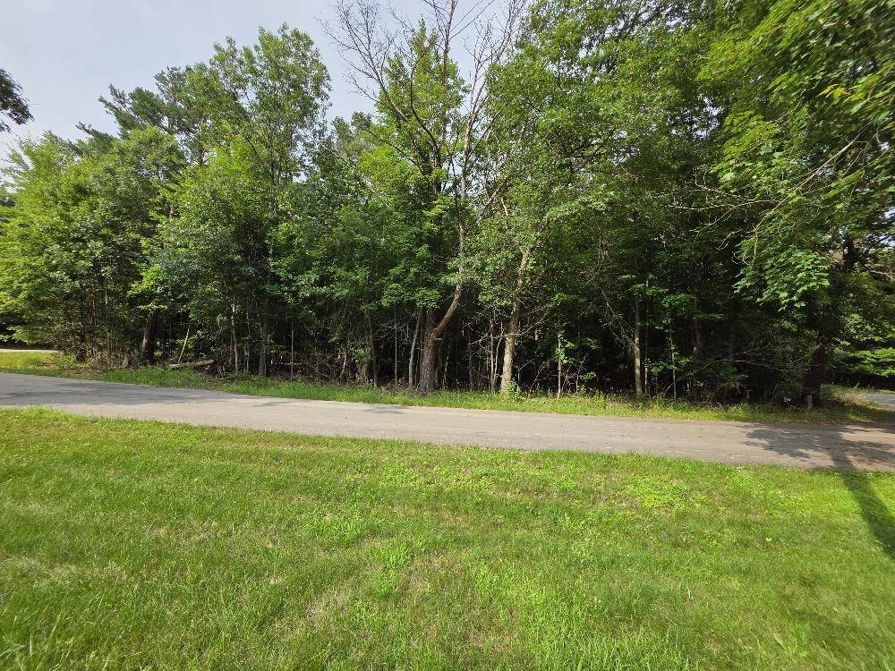 PINE LN #18, Wild Rose, WI 54984