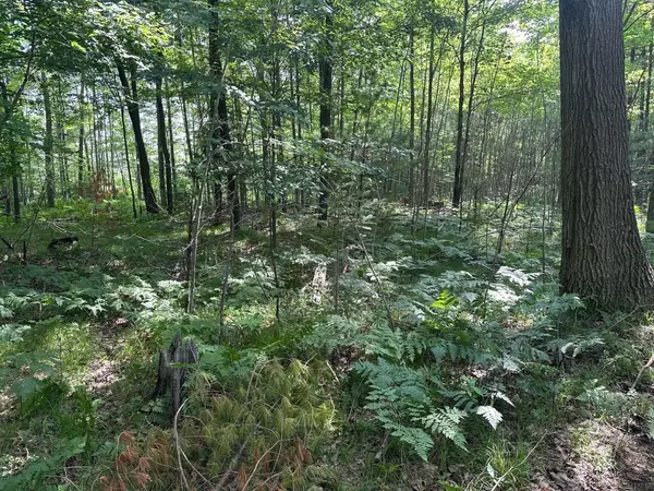 Suring, WI 54174,HEISE RD