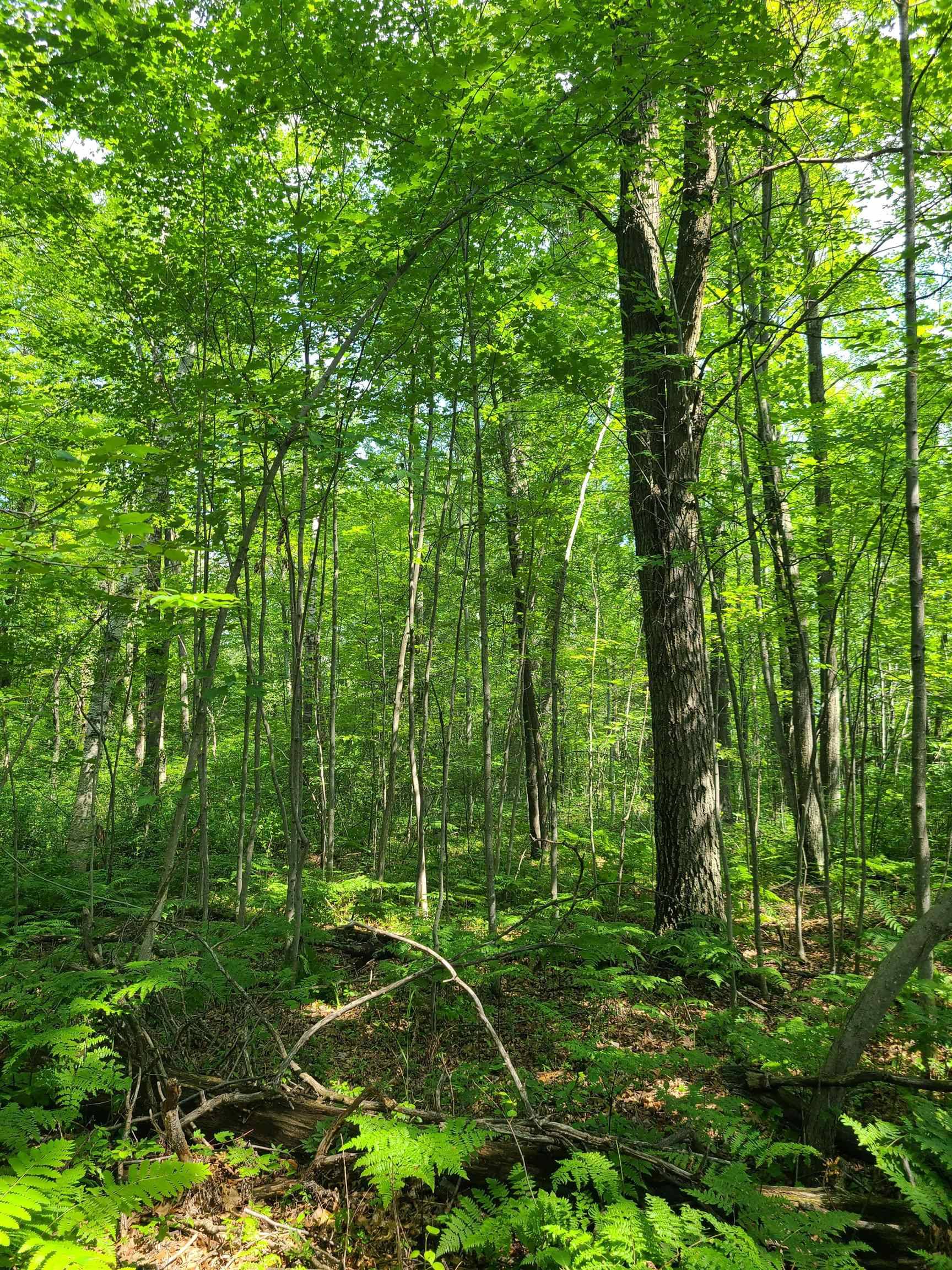 Peshtigo, WI 54157,CTH Y