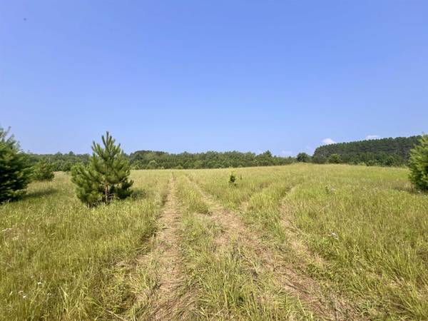 NEUMEIER RD #5, Wausaukee, WI 54177