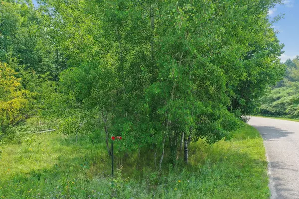 Mountain, WI 54149-9756,16180 THELEN RD