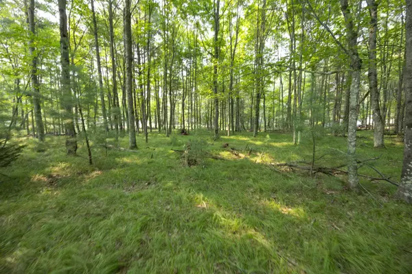 GILKEY LAKE RD, Crivitz, WI 54114
