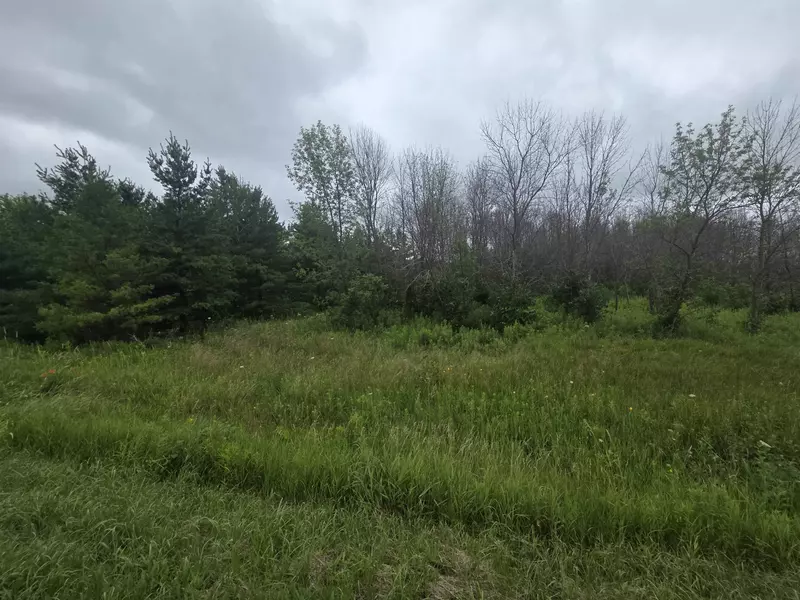 BADER RD, Luxemburg, WI 54217-8644